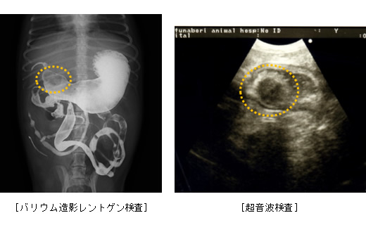 診察