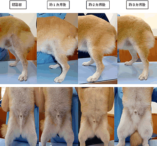 治療経過